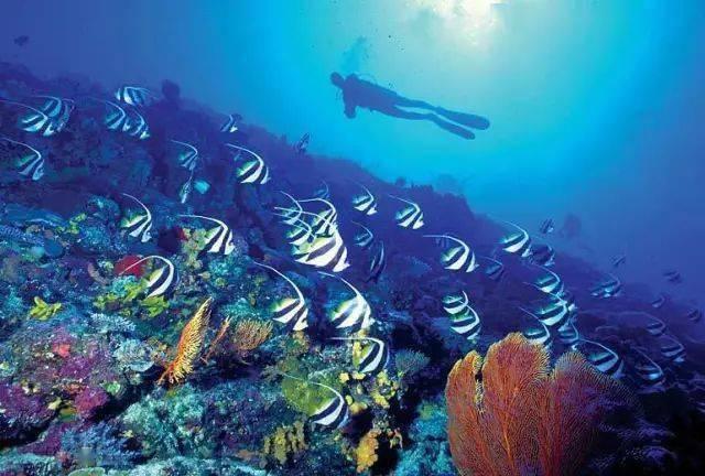 山东去年国内旅游收入超9000亿元 2024继续做足“文旅+”文章