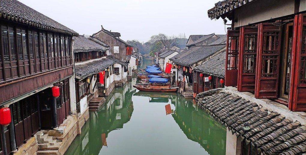 知识星球平台-专注于请问这个是什么虫子?如何消灭?十万火急!知识的学习社区