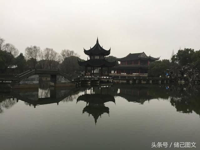 阴暗森林